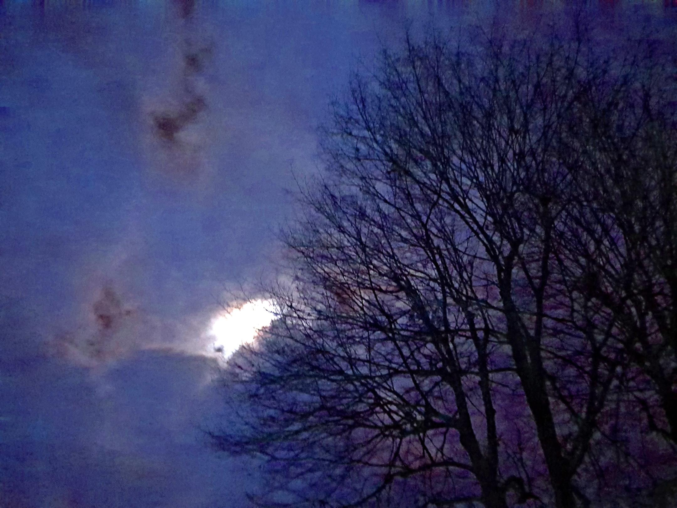 dunkler Himmel mit einem Lichtfleck, ein Baum im Vordergrund