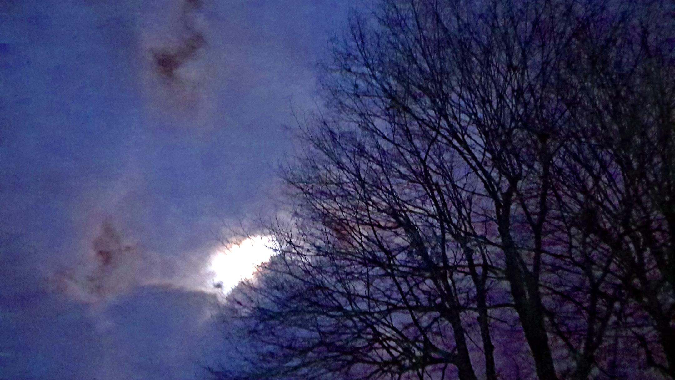 dunkler Himmel mit einem Lichtfleck, ein Baum im Vordergrund