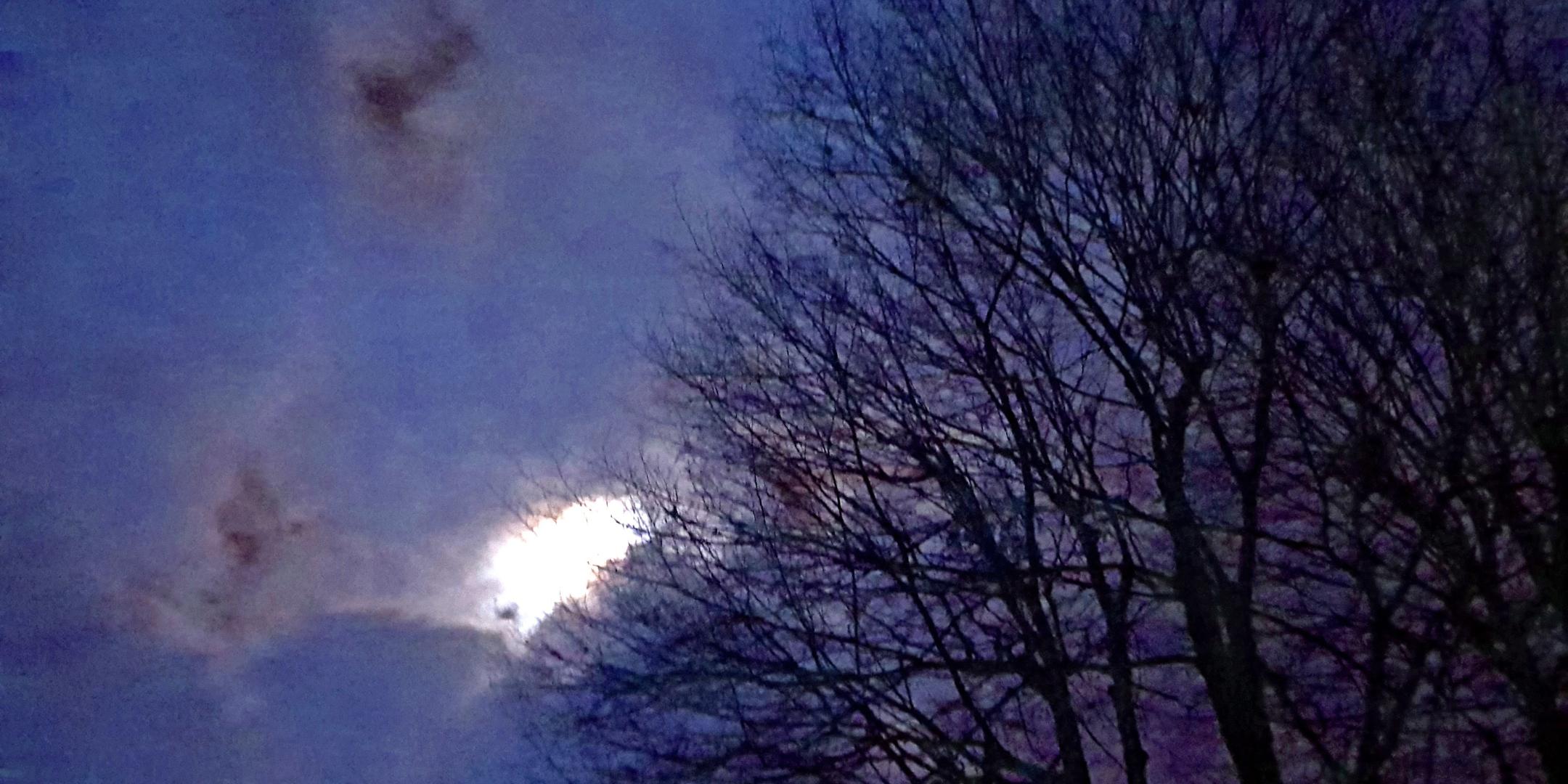 dunkler Himmel mit einem Lichtfleck, ein Baum im Vordergrund