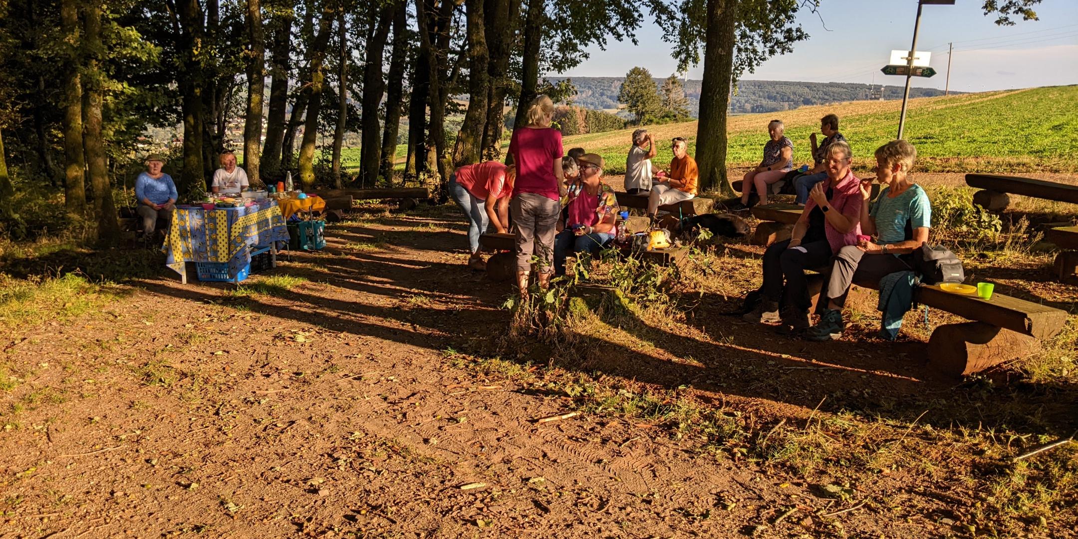 Frauen beim Picknick